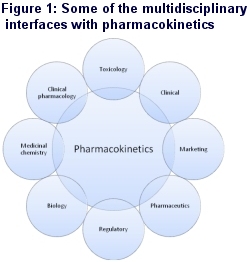 pharmacokinetics diagram